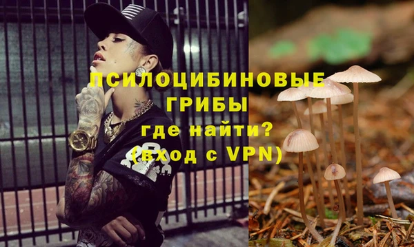 не бодяженный Магас